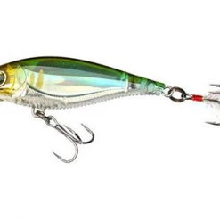 Baits Yo-Zuri 3Db Shad Suspending 2 3/4 Inch Medium Diving Crankbait 23 Baits Yo-Zuri 3Db Shad Suspending 2 3/4 Inch Medium Diving Crankbait