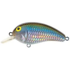 Baits Daiwa Peanut Medium Diving Crankbait
