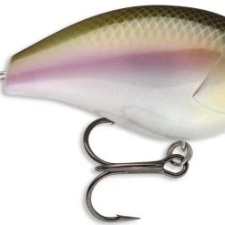 Baits Storm Arashi Silent Square Bill 2 3/8