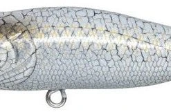 Megabass Pop-X Baits