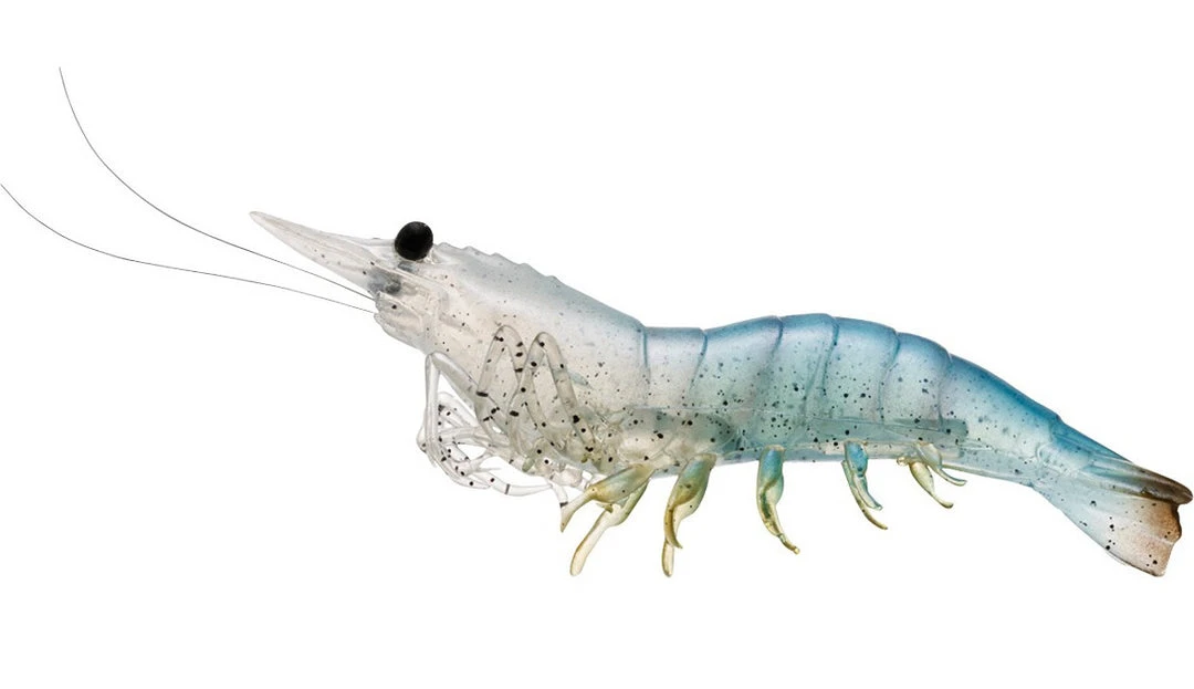 Baits Livetarget Rigged Shrimp 100 1/2 Oz. 4 Pack 11 Baits Livetarget Rigged Shrimp 100 1/2 Oz. 4 Pack