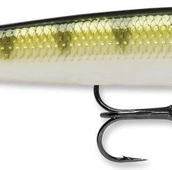 Rapala Husky Jerk 06 Baits