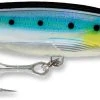 Rapala X-Rap Magnum 40 Big Game Slash Bait