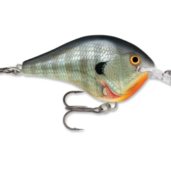Rapala Dt Series Crankbait Dt6