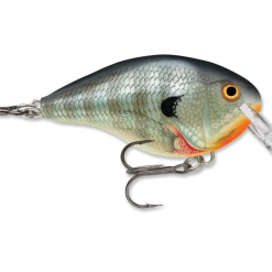 Rapala Dt Series Crankbait Dt4 44 Rapala Dt Series Crankbait Dt4