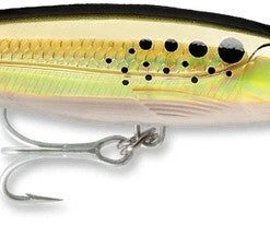 Rapala X-Rap Magnum 20 Big Game Slash Bait
