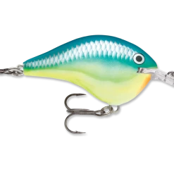 Rapala Dt Series Crankbait Dt6