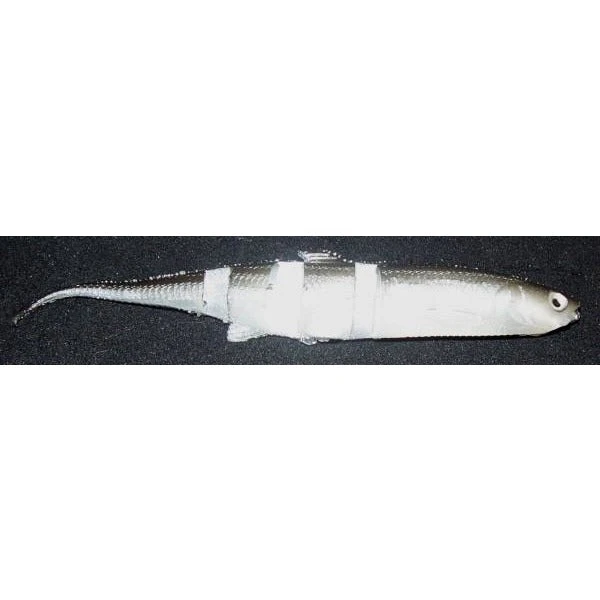 Castaic Super Jerky J 5.25" Baits 2 Castaic Super Jerky J 5.25" Baits