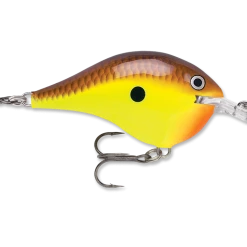 Rapala Dt Series Crankbait Dt6