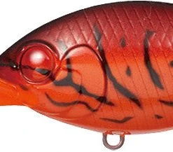 Evergreen International Cr-10 Crankbait 9 Evergreen International Cr-10 Crankbait