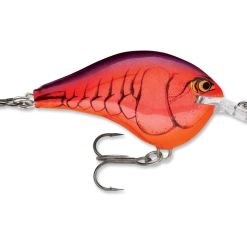 Rapala Dt Series Crankbait Dt6