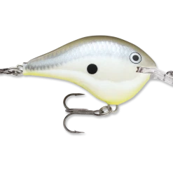 Rapala Dt Series Crankbait Dt6