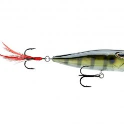 Storm Arashi Cover Pop 3 1/8 Inch