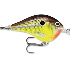 Rapala Dt Series Crankbait Dt6