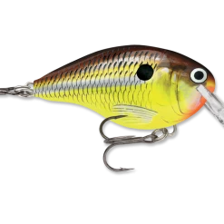 Rapala Dt Series Crankbait Dt4 56 Rapala Dt Series Crankbait Dt4
