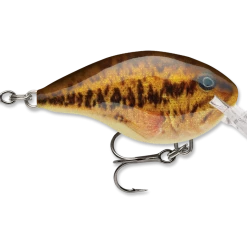Rapala Dt Series Crankbait Dt4 61 Rapala Dt Series Crankbait Dt4