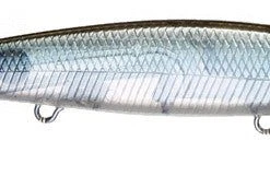 Baits Lucky Craft Flash Pointer 100 Shallow Diving Jerkbait