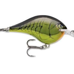 Rapala Dt Series Crankbait Dt6