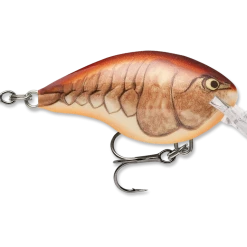 Rapala Dt Series Crankbait Dt4 65 Rapala Dt Series Crankbait Dt4