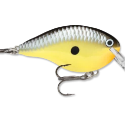 Rapala Dt Series Crankbait Dt4 66 Rapala Dt Series Crankbait Dt4