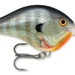 Baits Rapala Dt Series Crankbait Dt16 43 Baits Rapala Dt Series Crankbait Dt16