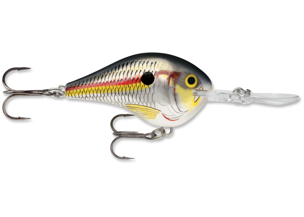 Baits Rapala Dt Series Crankbait Dt10 39 Baits Rapala Dt Series Crankbait Dt10
