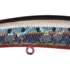 Duo International Duo Realis Pencil Popper 148 Saltwater Baits