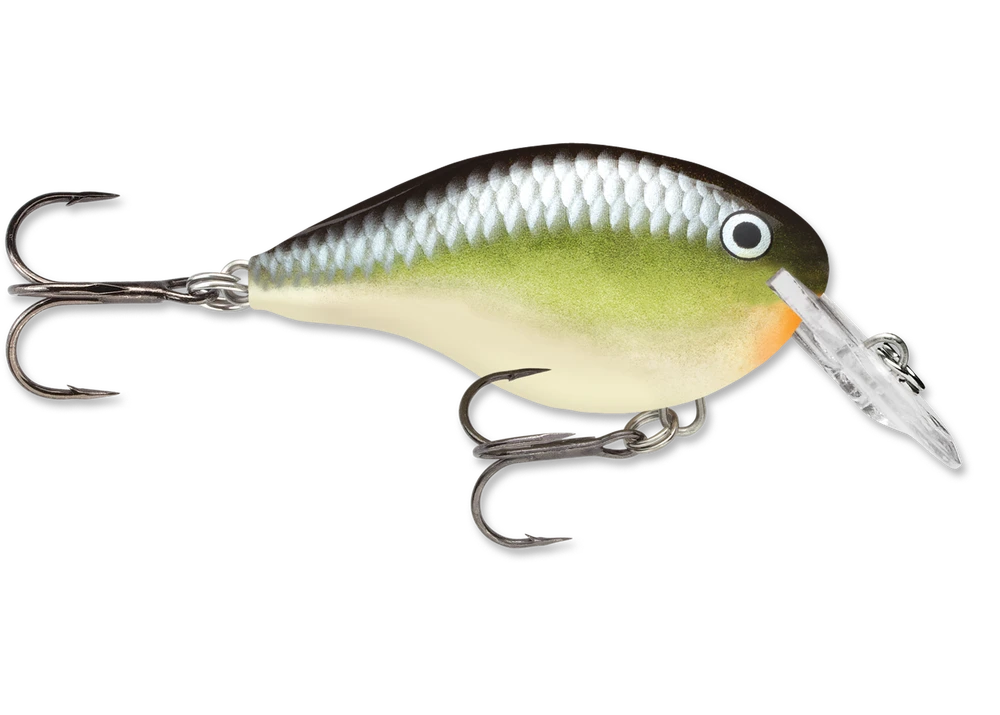 Rapala Dt Series Crankbait Dt4 39 Rapala Dt Series Crankbait Dt4