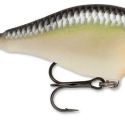 Rapala Scatter Rap Crank Shallow 2